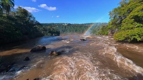 Flowing Rapids Along the Upper Circuit of Iguazú National Park Stock Footage 342274211