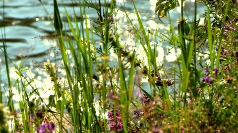 Flowing River 1 Stock Footage 73292650