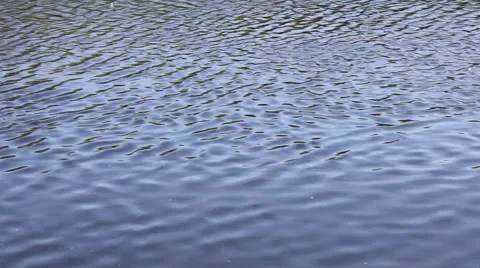 Flowing river 10453 스톡 동영상 47862406