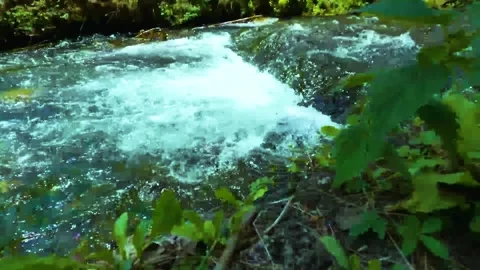 A flowing river 4 Stock Footage 293017267