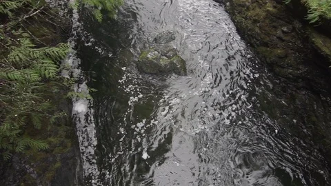 Flowing river from above Stock Footage 106796491
