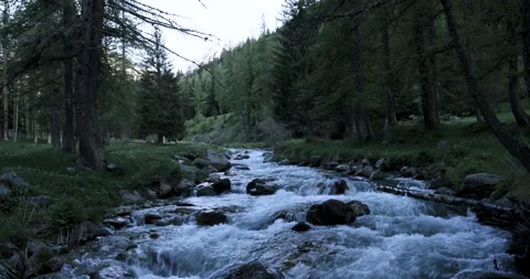 Flowing river amidst tranquil forest landscape invites peaceful moments at dusk Stockbeeldmateriaal 314081310
