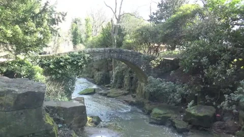 Flowing river and small old bridge Stock Footage 132986606