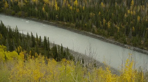 Flowing River with Autumn Trees Stock Footage 38110090