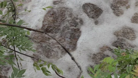 Flowing river background with tree foliage in front 스톡 동영상 131752130