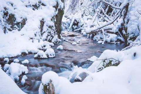 Flowing river between rocks and fallen trees in winter Stock Photos