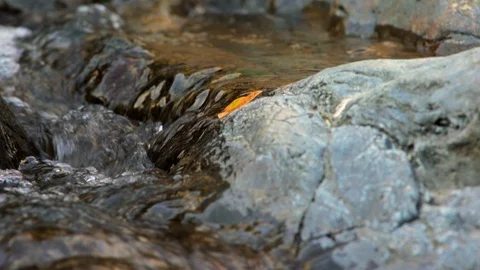 Flowing river burbles over rocks. Stock Footage 88342689