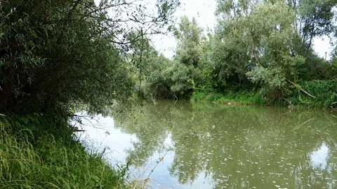 Flowing river with calm surface Stock Footage 113332196
