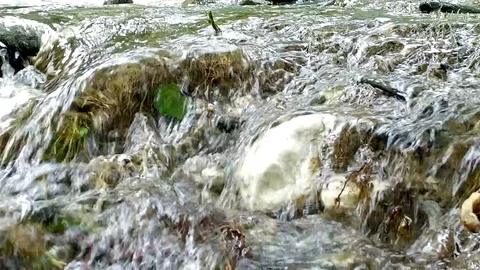 Flowing river close up footage Stock Footage 102225916