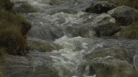Flowing river in countryside, focus pull from grass to water Stock Footage 86744463