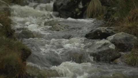 Flowing river in countryside Stock Footage 86744714