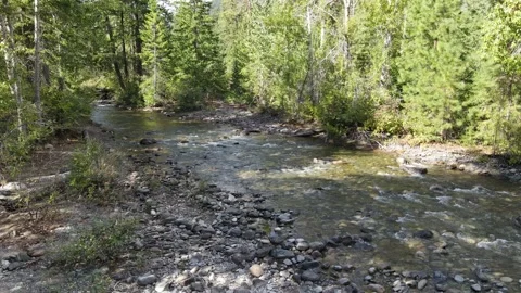 Flowing River from Drone Stock Footage 145742467