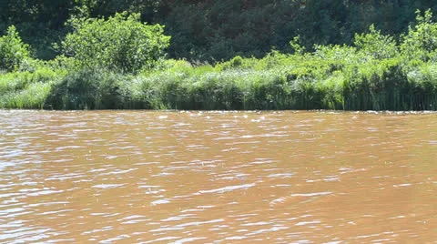 Flowing River During the Day Stock Footage 26185266