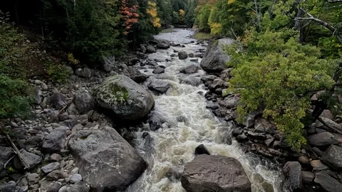 Flowing River in Fall 4K Video stock 287123584
