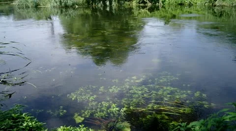 Flowing river Stock Footage 11435362