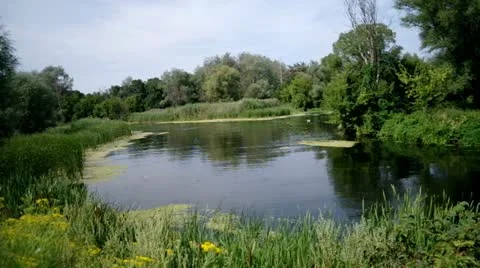 Flowing river Stock Footage 11435395