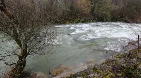 Flowing River Stock Footage 22010099