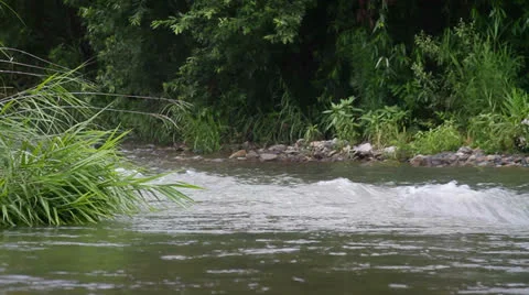 Flowing river Stock Footage 26254086