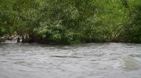 Flowing river Stock Footage 26269578