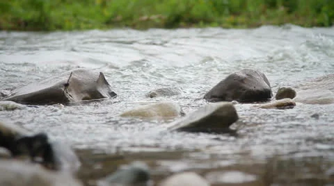 Flowing river Stock Footage 26311435