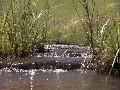 Flowing river Stock Footage 27344664