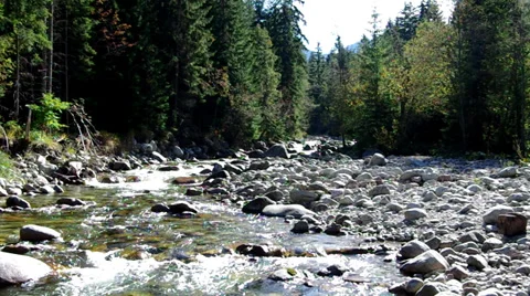 Flowing river Stock Footage 32502976