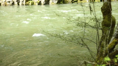 Flowing River Stockbeeldmateriaal 37628254