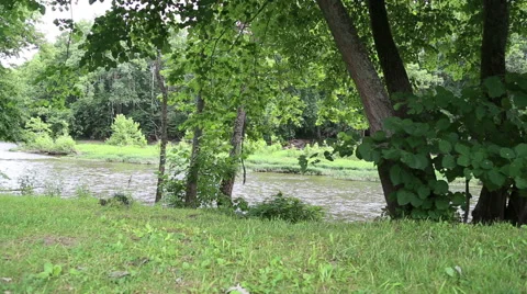 Flowing river 動画素材 40050231