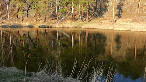 Flowing river Stock Footage 49747797