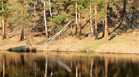 Flowing river Stock Footage 49748262