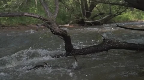 Flowing River Stock Footage 51706334