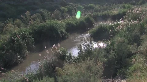 Flowing river Stock Footage 53449120