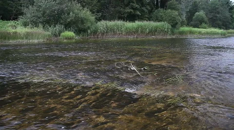Flowing river Stock Footage 57725751
