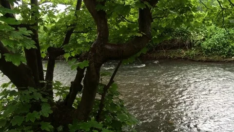 Flowing river. Video stock 80101017