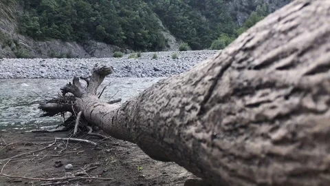 Flowing River 動画素材 93579515