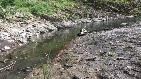 Flowing River Video stock 93579519