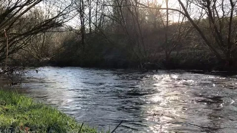 Flowing River Stock Footage 101789789