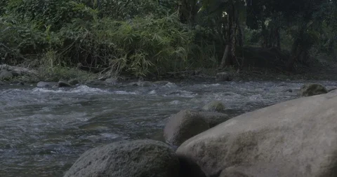 Flowing River Stock Footage