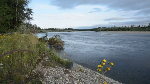 Flowing river. Stock Footage 114805233