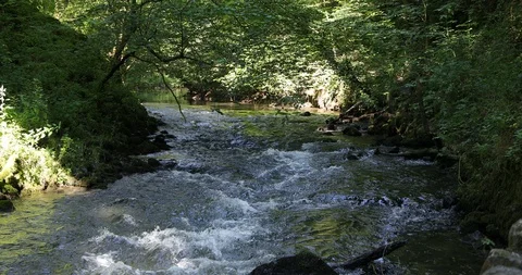 Flowing River Stock Footage 114877511