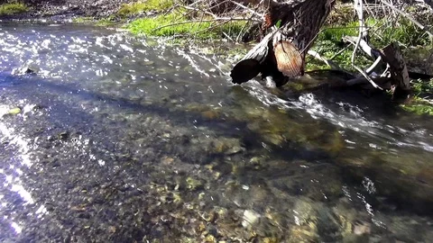Flowing river Stock Footage 122354635