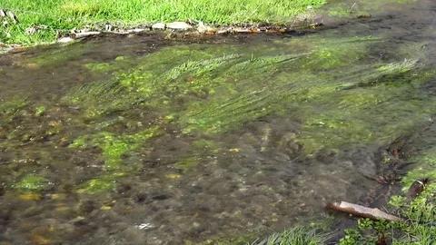 Flowing river Stock Footage 122354672