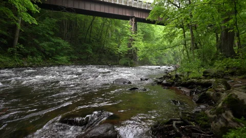 Flowing River Stock Footage