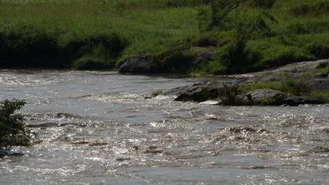 Flowing river Stock Footage 144111109