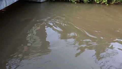 Flowing river. Stock Footage 152865403