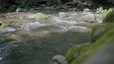 Flowing River Stock Footage 199376508