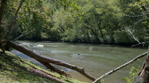 Flowing River Video stock 210504939