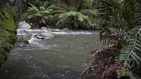 Flowing River Stockbeeldmateriaal 217108759