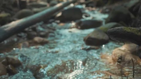 Flowing River Stock Footage 242205231