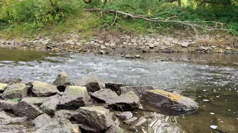 Flowing River Stock-Footage 320830992